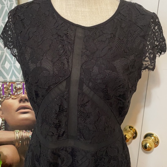 Beautiful Black Lace Dress with Sheer Panel /Large - Picture 3 of 11
